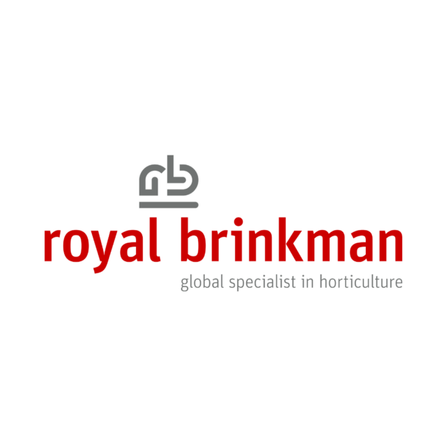 Royal Brinkman